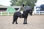 SBM_22003
