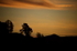 ROTARUA SUNSET