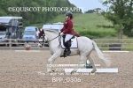 BPP_0306