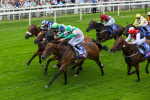 230823-Race 1-Equilateral-4051