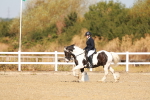 SBM_016766