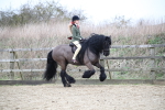 SBM_006348