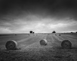 3 Rolls