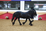 SBM_17847