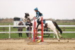 SBM_002248