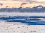 JANUARY DAWN #2 - PORT RYERSE