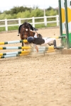 SBM_001357