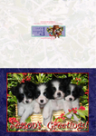 X35  A Bundle of Trouble