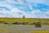 DSCF8854
