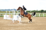 SBM_003474
