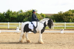 SBM_006989