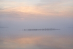_DSC0951