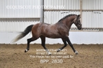 BPP_2830