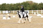SBM_002699