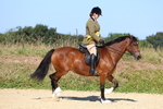 Class 14: Tack and Turnout portfolio