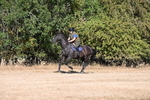 WJ6_6779