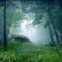 The Cottage in the Woods