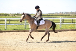 SBM_000559