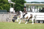 SBM_17231