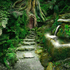 Entrance to Rivendell