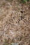 260802A-135354-07053