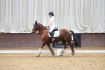 SBM_007324