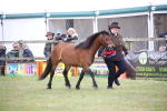 SBM_09741