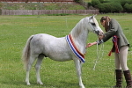 SIAL7941