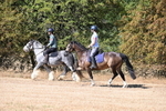 WJ6_7827