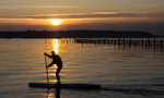 Poole Harbour