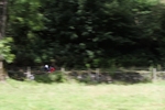 FOM_0667