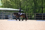 WJ6_0668
