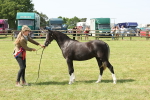 SBM_02428