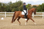 SBM_011833