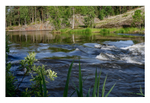 Kymijoki Experience 5