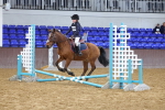 SBM_000331