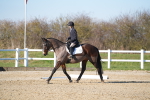 SBM_004294
