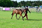 SBM_00958