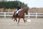 SBM_020403