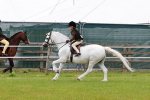 SBM_09532