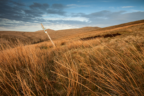 The Island's hills can be such a bleak and barren place, especially when it's blowing a gale and raining, but when th…