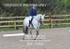 BPP_9959