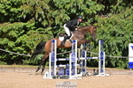 H-366-Tim.Cheffings-HORGANS.ETOILE portfolio