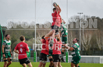 Guernsey Raiders v Rochford Hundred 2023-60