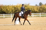 SBM_009182