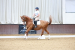 SBM_001549