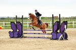 SBM_009095