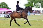 SBM_02723