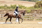 SBM_002734