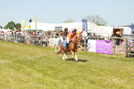 SBM_17297